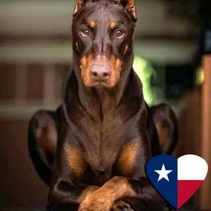 Meet your Posher, Luis rolando